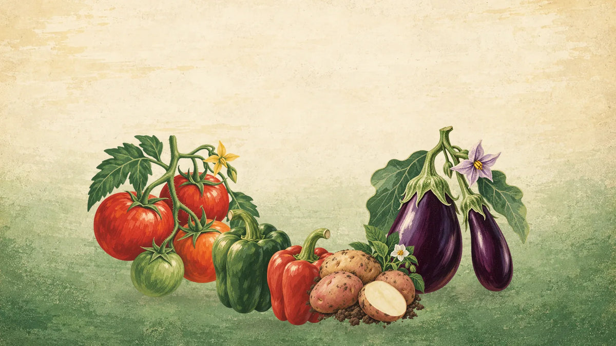 Painted nightshade family group: tomatoes on the vine, green and red bell peppers, potatoes and two eggplants