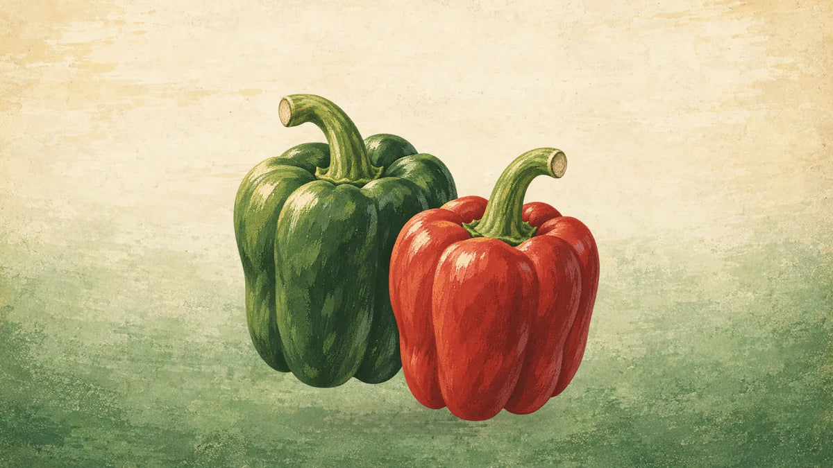 Painted green bell pepper and red bell pepper side by side, each with a curved green stem