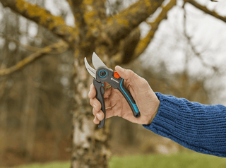 Hand holding the Gardena ExpertCut shears beside a tree trunk