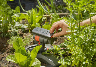 Hand adjusting the Gardena AquaZoom sprinkler among leafy greens in a bed