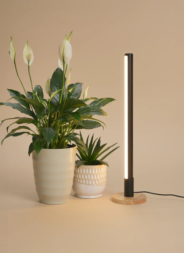 Black Grove light standing in its Alta wood base beside a potted peace lily