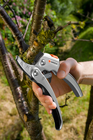 Hand cutting a thick twig on a tree with the Gardena ratchet pruners