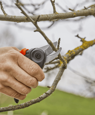 Gardena ExpertCut shears cutting a bare twig