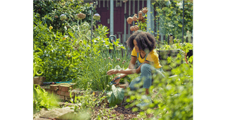 Gardener working among tall plants in a vegetable garden