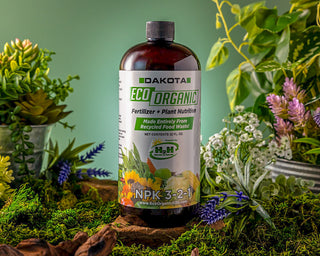 Dakota Eco 32 oz fertilizer bottle among potted flowering plants