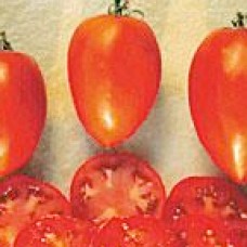 Tomato Seeds, Amish Paste Organic