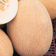 Melon Seeds, Ananas