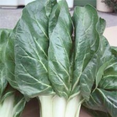 Swiss Chard Seeds, Barese