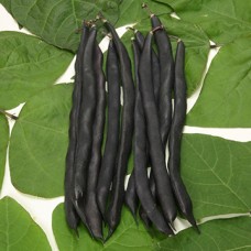 Pole Bean Seeds, Blauhilde
