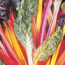 Swiss Chard Seeds, Deluxe Rainbow Mix ORGANIC