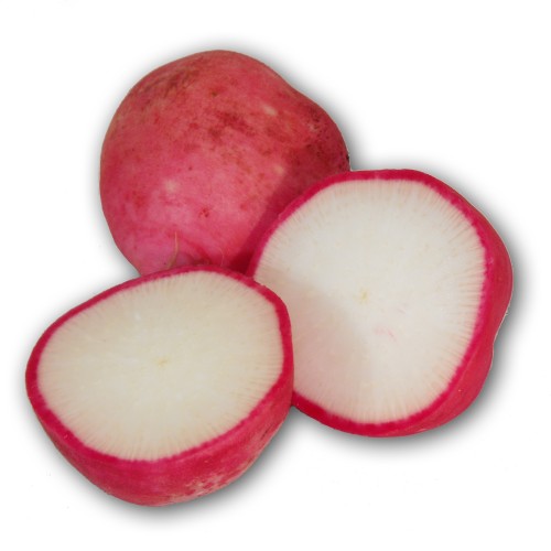 Radish Seeds, German Giant ORGANIC