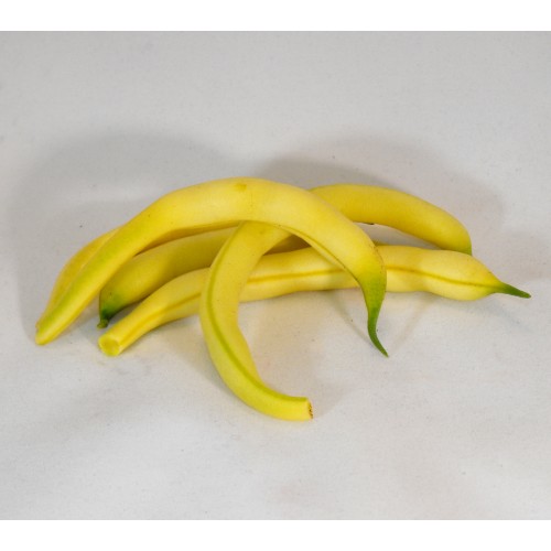 Bush Bean Seeds, Golden Brittle Wax