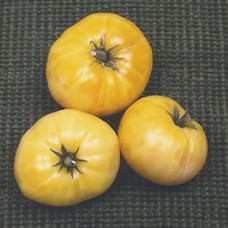 Tomato Seeds, Great White Organic