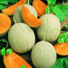 Melon Seeds, Hearts Of Gold ORGANIC