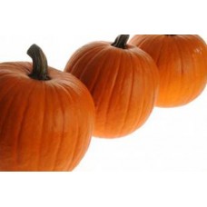 Pumpkin Seeds, Jack of All Trades F1 Hybrid