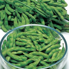 Edamame Soybean Seeds, Lucky Lion