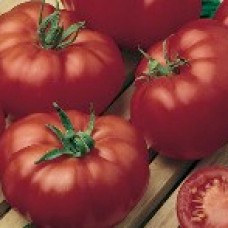 Tomato Seeds, Master F1 Hybrid