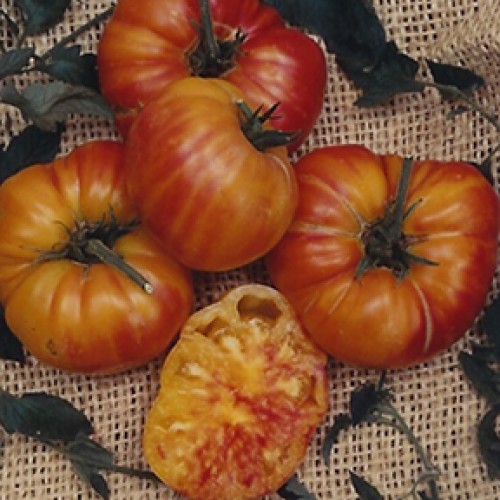 Tomato Seeds, Old German