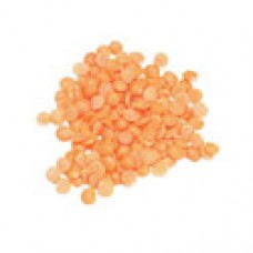 Lentil Seeds, Petite Crimson ORGANIC