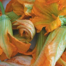 Pumpkin Seeds, for Blossoms