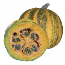 Pumpkin Seeds, Maximal F1 Hybrid (hulless seed)