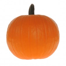 Pumpkin Seeds, Neon F1 Hybrid