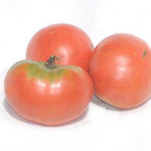 Tomato Seeds, Rose De Berne