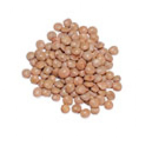 Lentil Seeds, Spanish Pardina ORGANIC