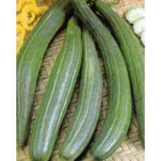 Cucumber Seeds, Serpent - Dark Green (Metki Type)