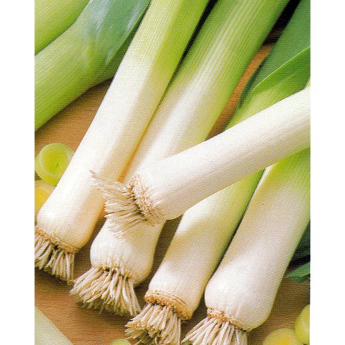 Leek Seeds, Carentan 2