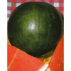 Watermelon Seeds, Sugar Baby