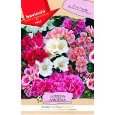 Godetia Seeds, Mix