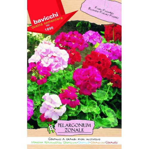 Geranium Seeds, Martha Washington Mix