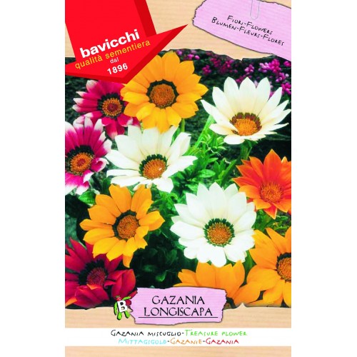 Gazania Seeds, Treasure Flower Mix