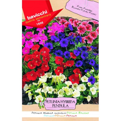 Petunia Seeds Pendula Balcony Mix