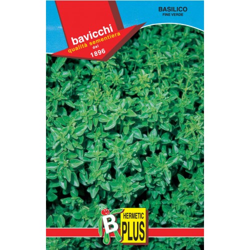 Basil Seeds, Fine Verde