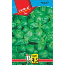 Basil Seeds, Genovese Italiano Classico