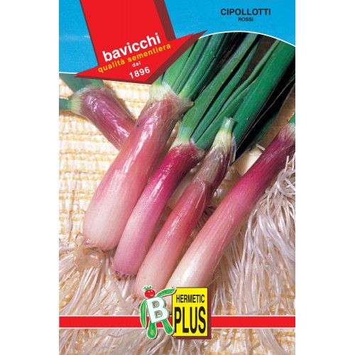 Bunching Onion Seeds, Rossi / Red