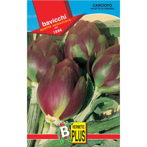 Artichoke Seeds, Violetto Chioggia