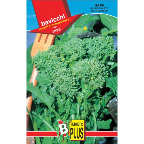 Rapini - Broccoli Raab Seeds, Del Trasimeno
