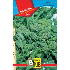 Rapini - Broccoli Raab Seeds, Riccia di S. Marzano