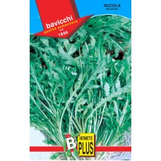Arugula Seeds, Wild