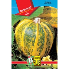 Squash Seeds, Tonda Padana