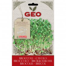 Broccoli Organic Seed For Sprouts 13 gram Packet