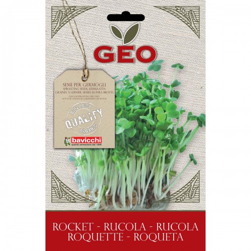 Arugula Organic Seed For Sprouts 30 gram Packet