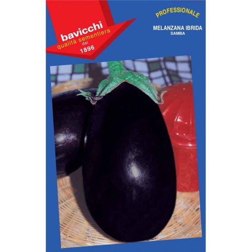 Eggplant Seeds, Samba F1 Hybrid